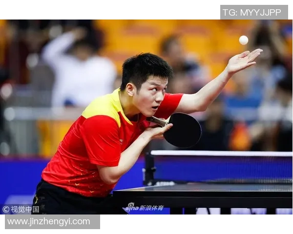 成都乒乓球队领跑最新乒乓球配合TOP10展现卓越实力与团队默契