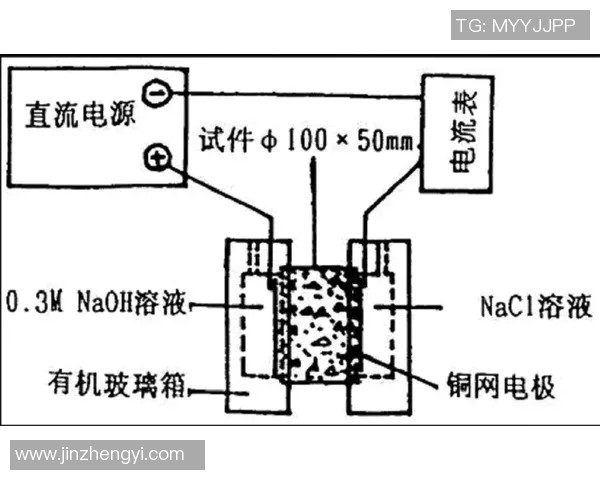 成都乒乓球队边路渗透战术分析及其对比赛结果的影响探讨 成都乒乓球队边路渗透战术分析及其对比赛结果的影响探讨