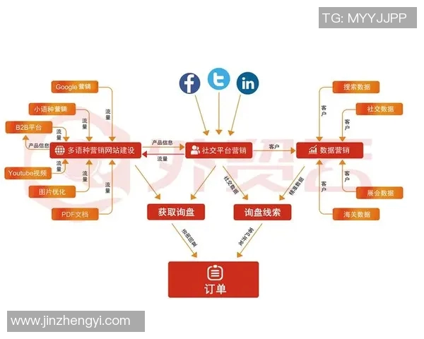 数据分析揭示Instagram在社交媒体营销中的强大影响力与潜力