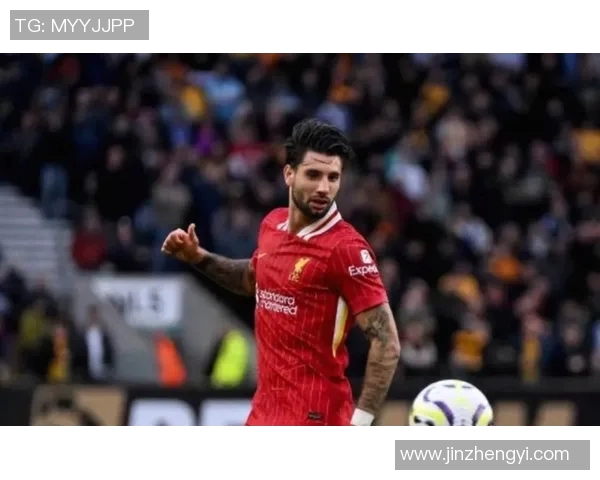 探秘索博斯洛伊的历史与文化魅力，揭开这座城市的神秘面纱