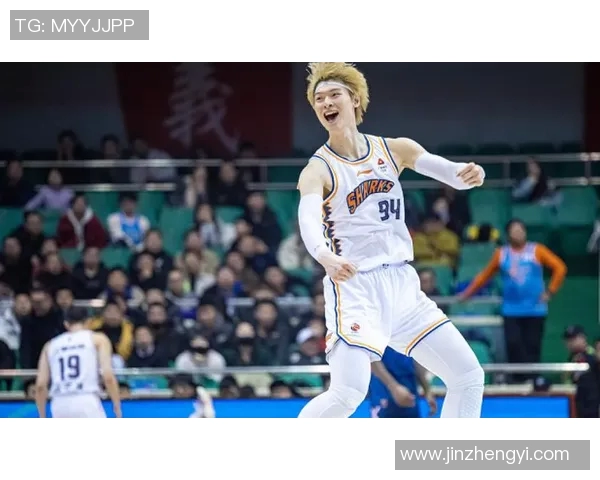 王哲林在CBA赛场的崛起与挑战分析以及未来发展潜力展望