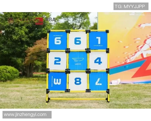 杭州飞盘队灵活性分析与表现评估探索之旅MBA