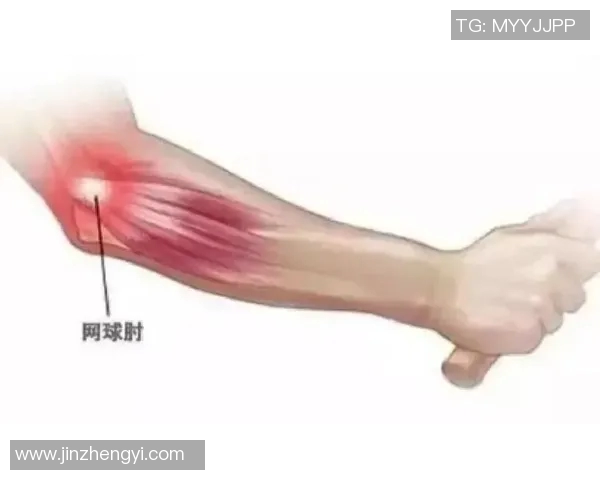 科学网球中的灵活性训练技巧与方法探索提升运动表现的有效途径